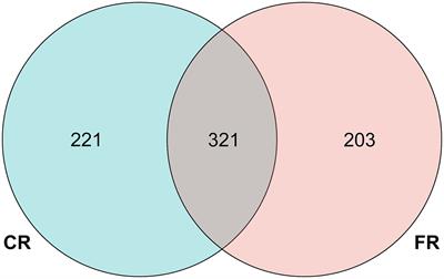Effects of rearing systems (cage versus floor) on the microbial composition and transcriptome of goose ileum